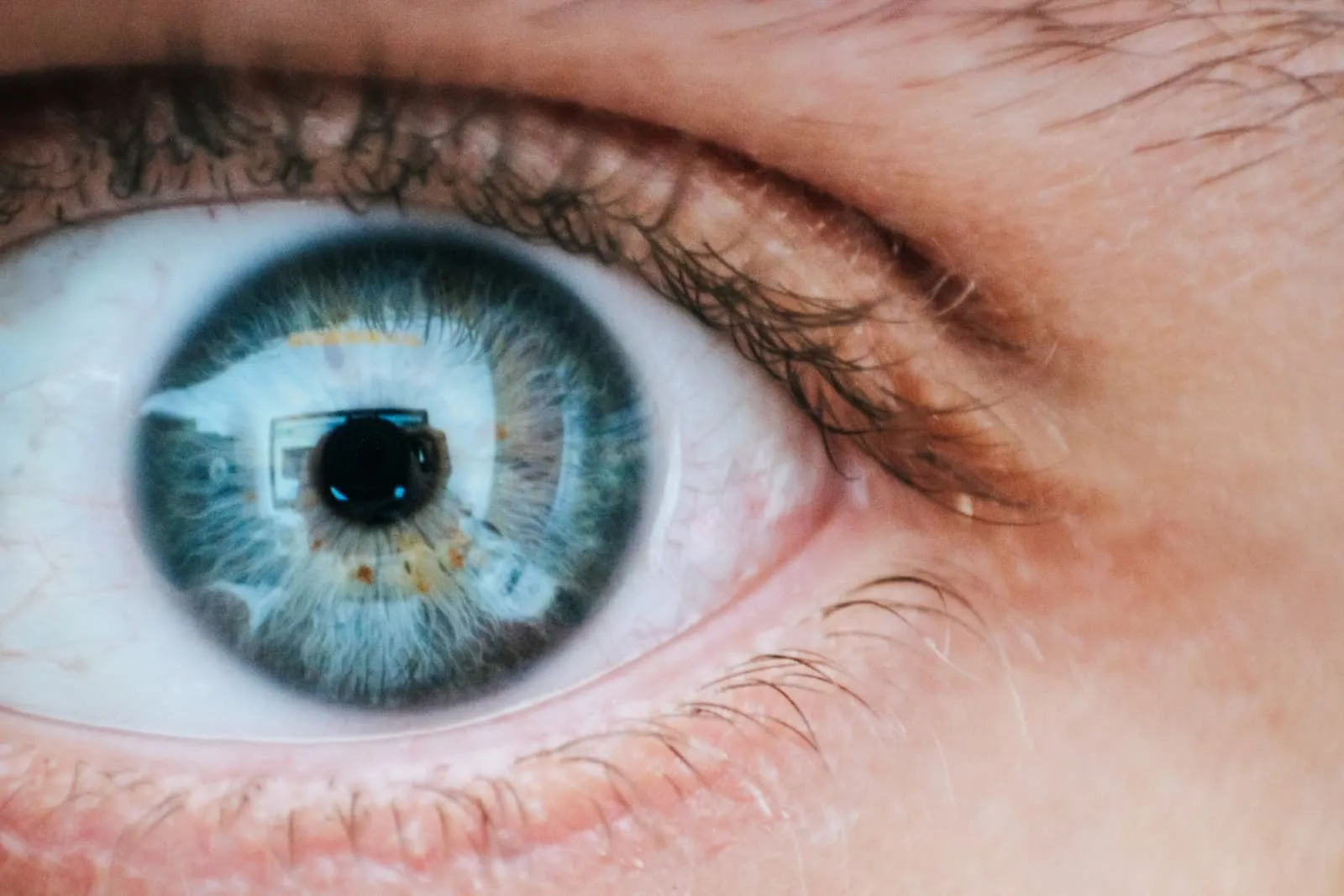 Closeup of a person's eye.